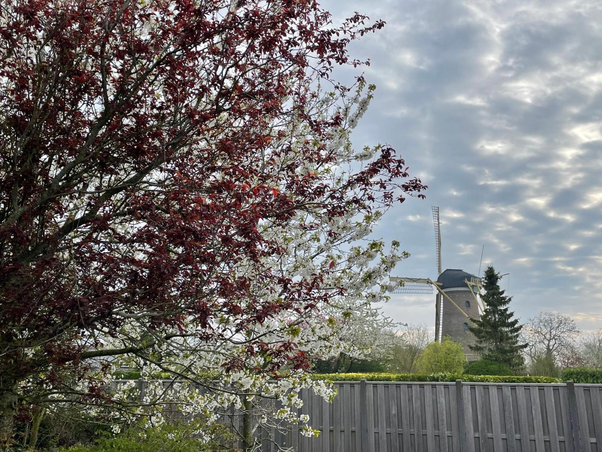 Gastenverblijf Bij De Buuren Dirksland Esterno foto